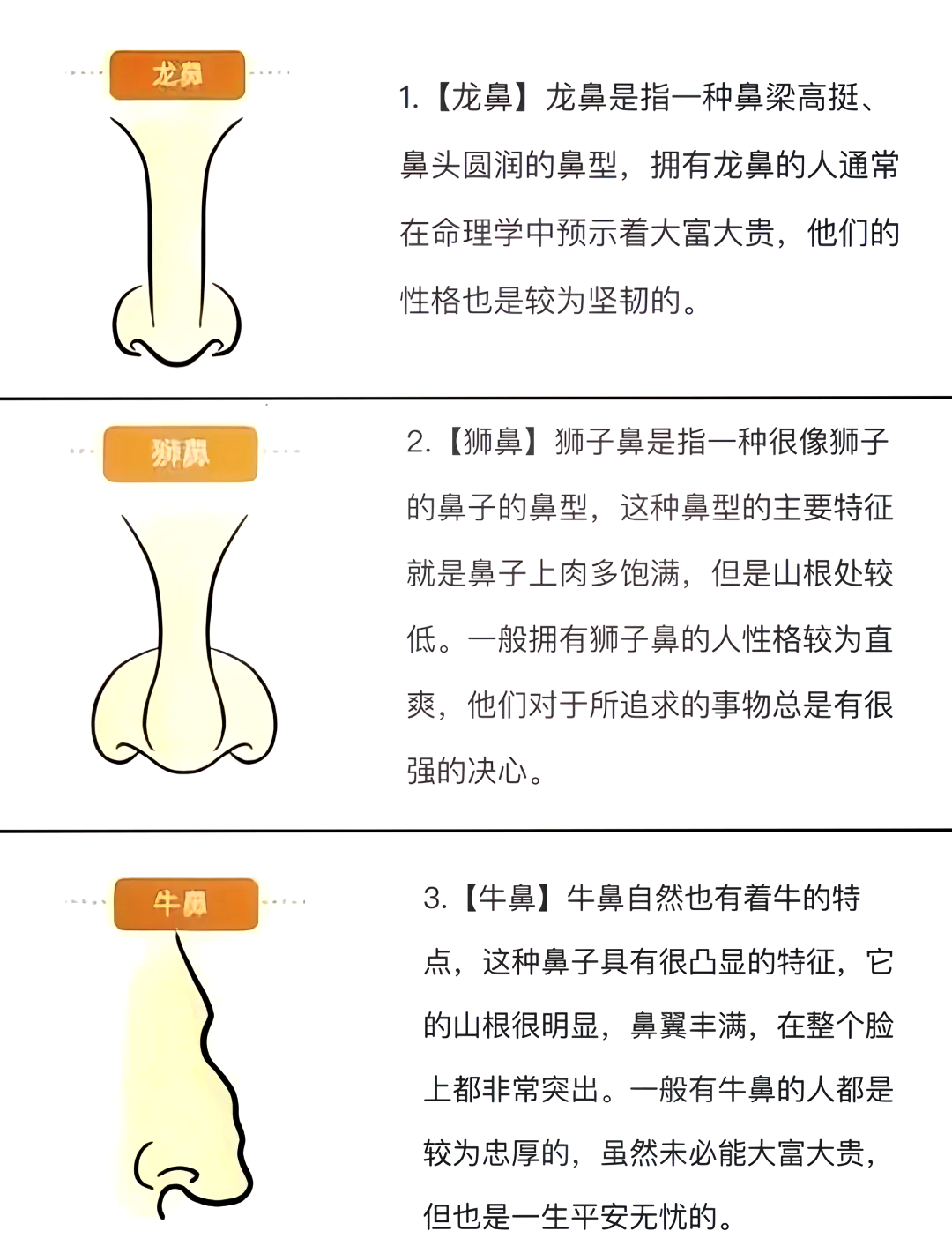 富贵鼻子面相图片