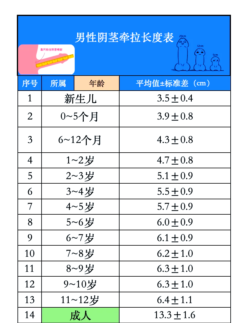 55厘米有多长参照图片