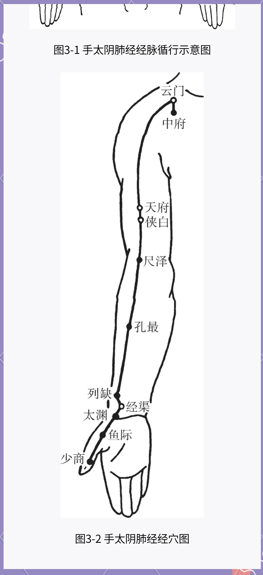 手太阴在哪个位置图片图片