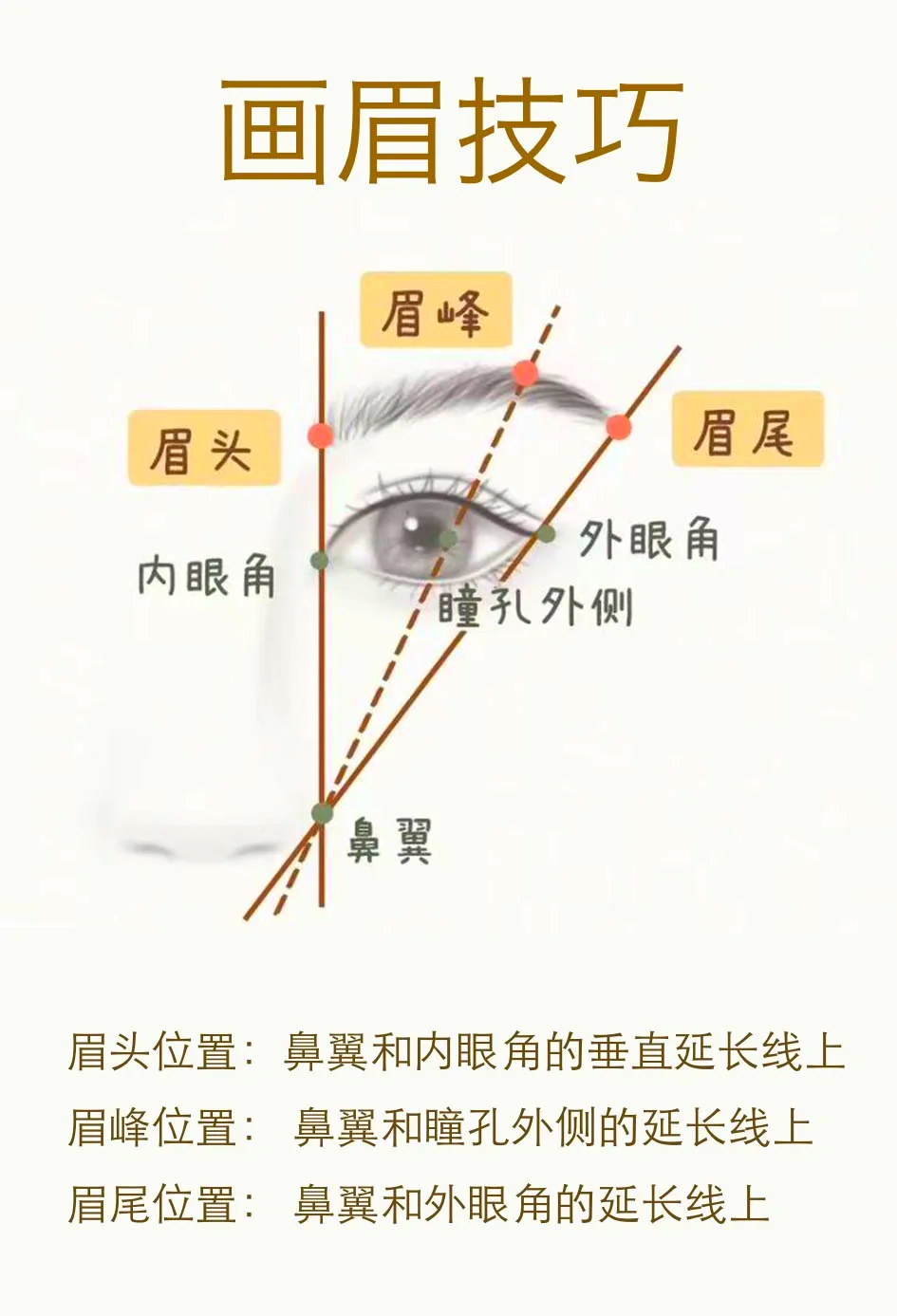 眉毛大全图解 初学者图片