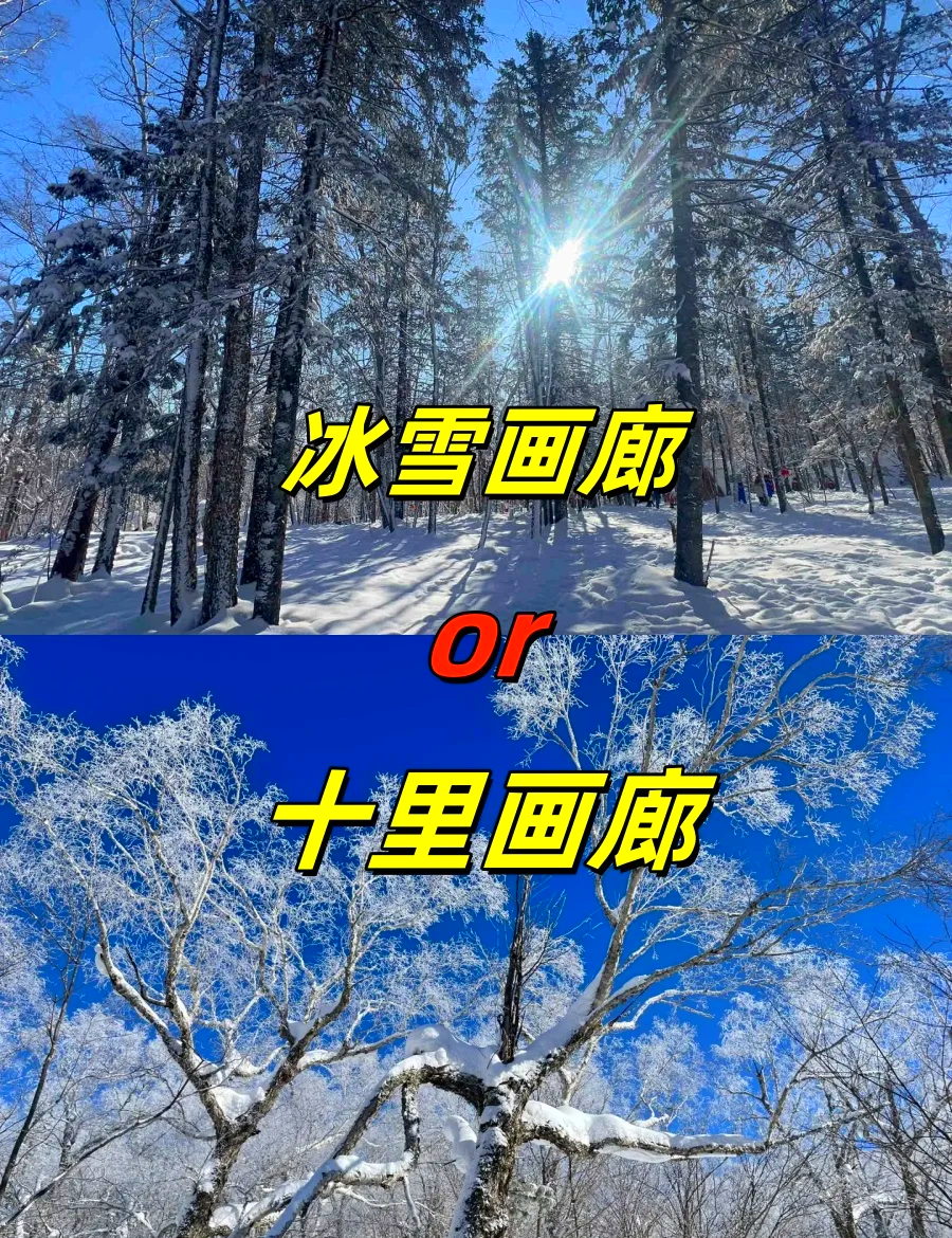 冰雪画廊和十里画廊图片