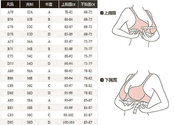 内衣下摆围图片