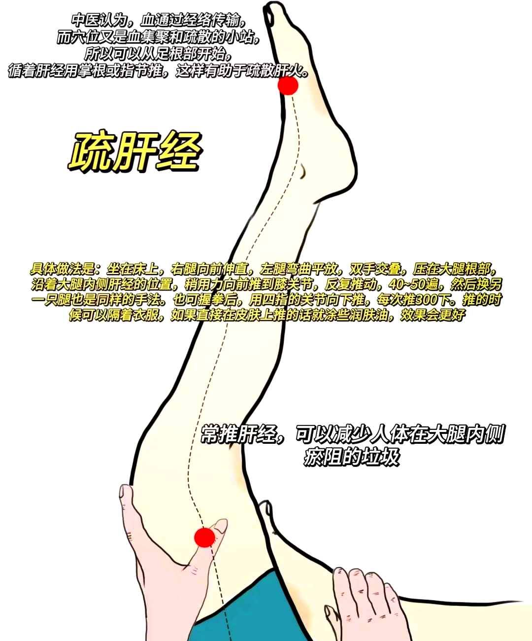 大腿内侧经络图 肝经图片