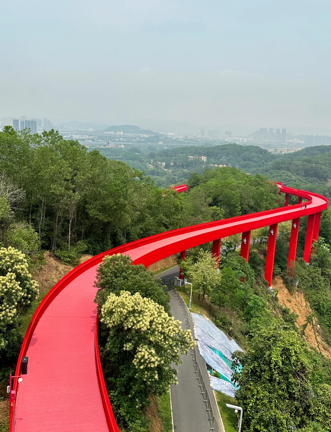 大顶岭绿道骑行图片