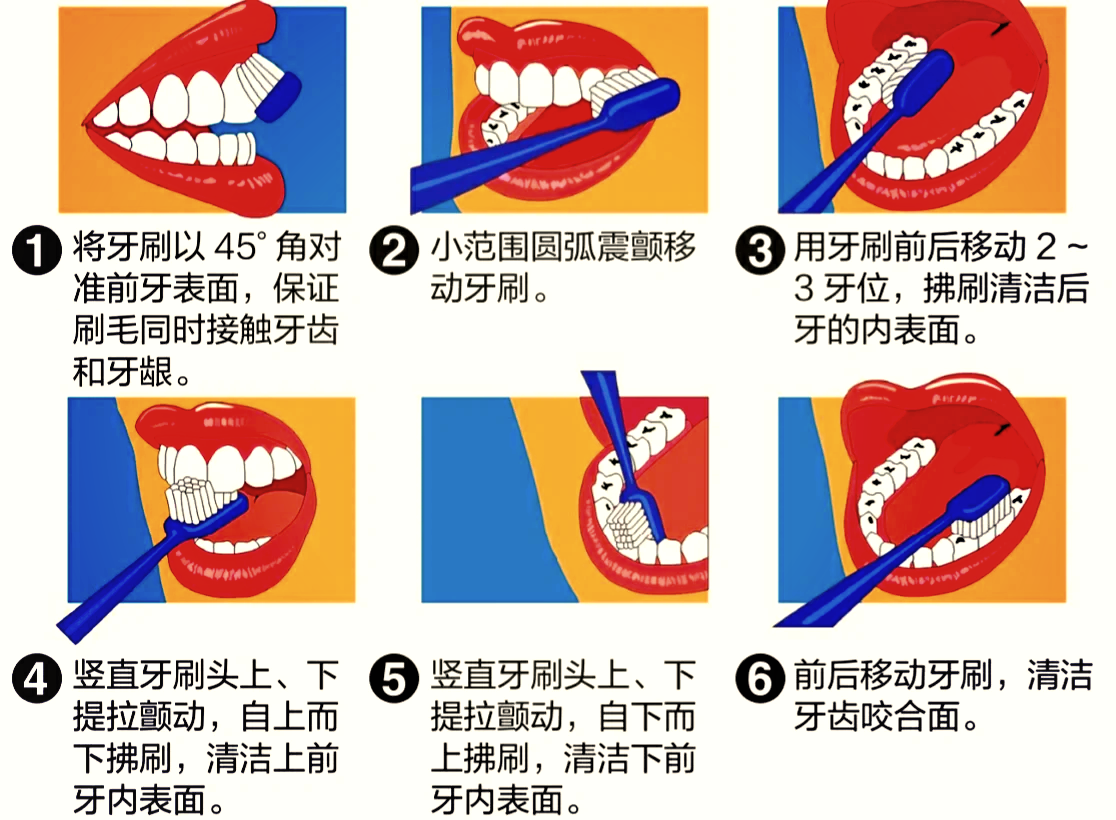 正确刷牙姿势图片