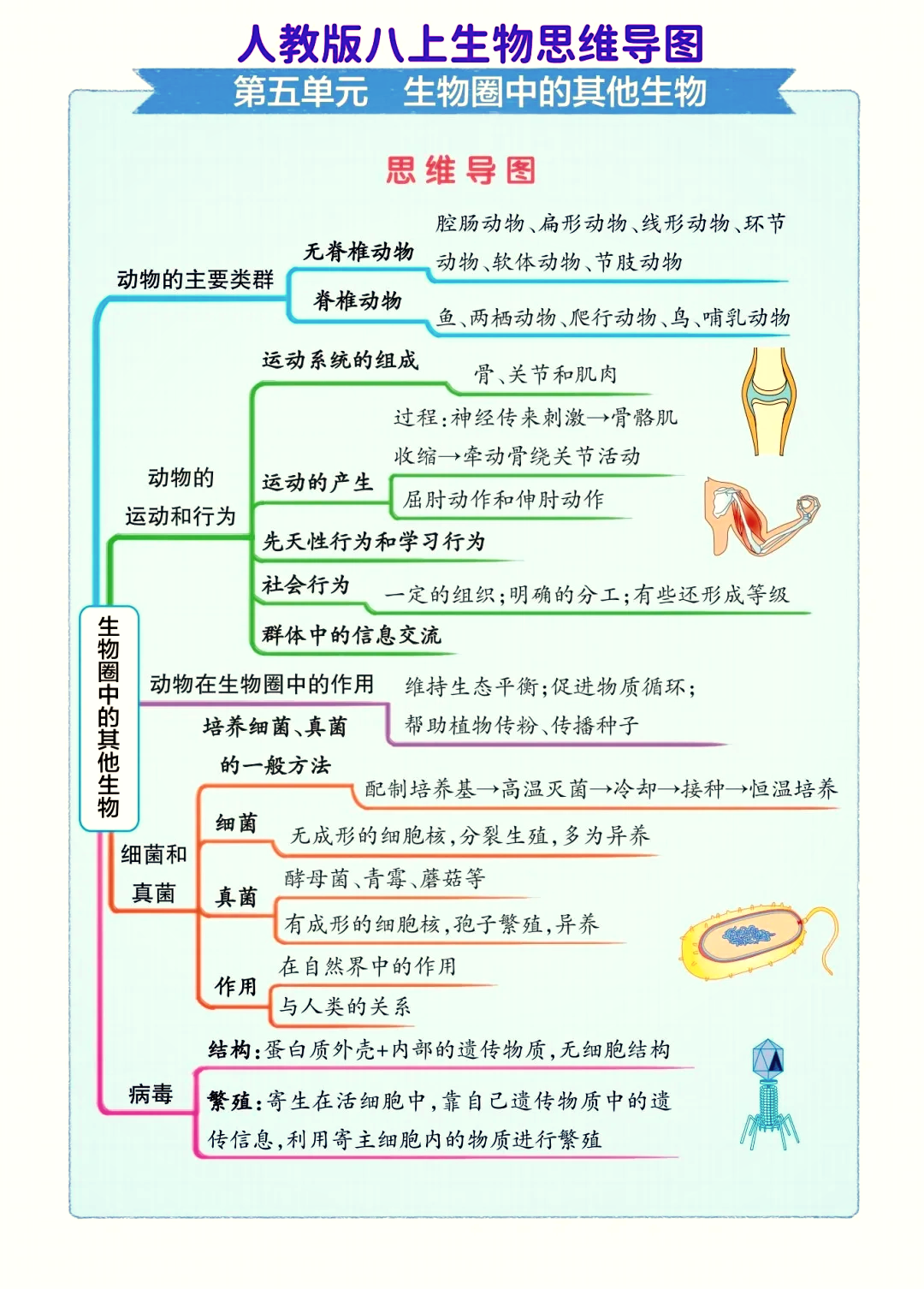 生命体征思维导图图片