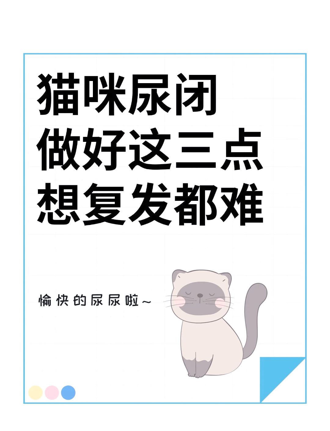 猫咪生理裤作用图片