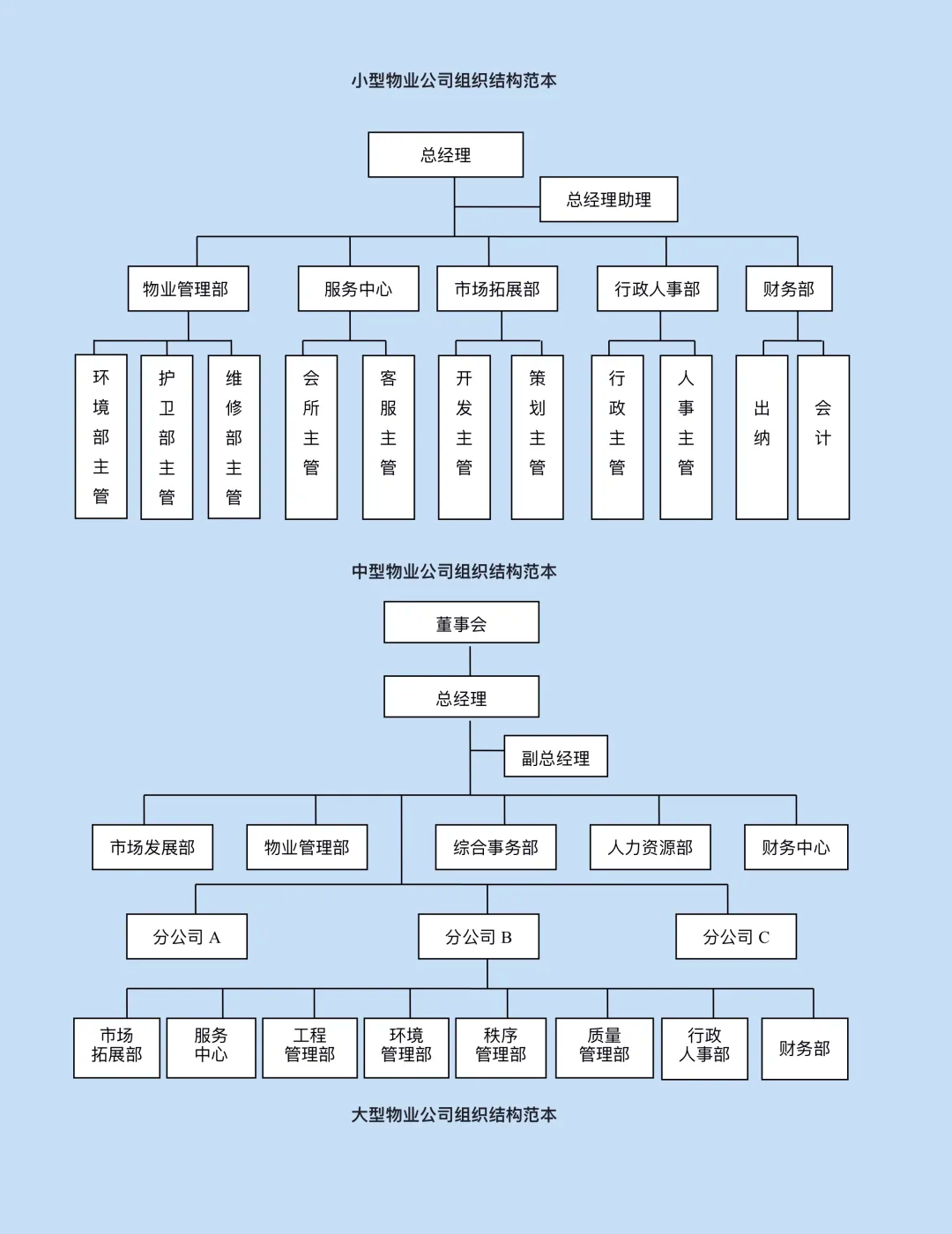 初创公司3人架构图图片