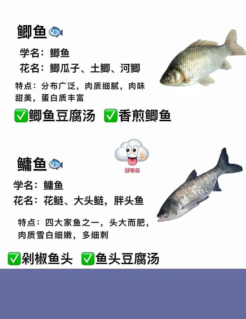 淡水鱼名称 名字图片