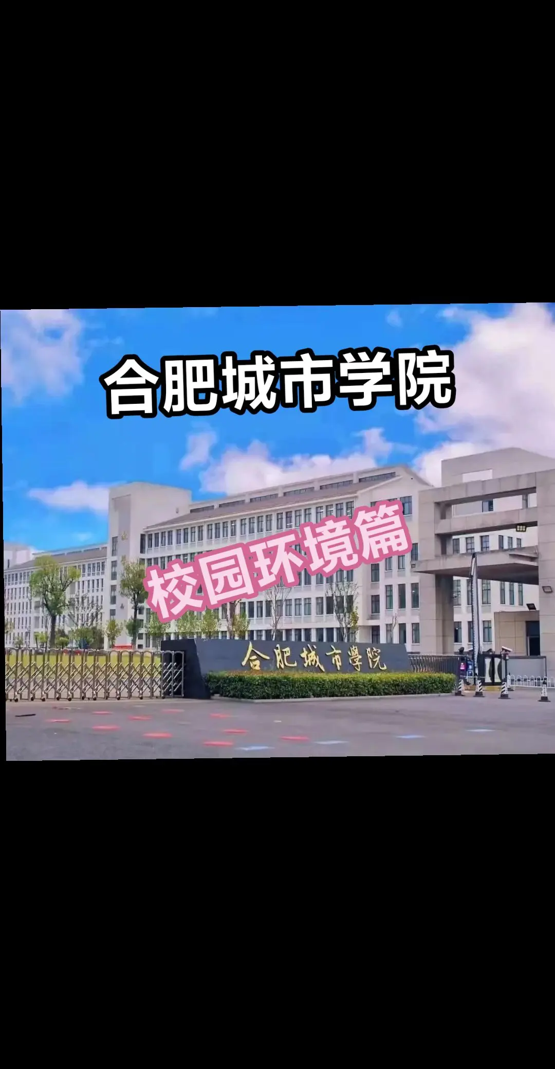 合肥城市学院logo图片