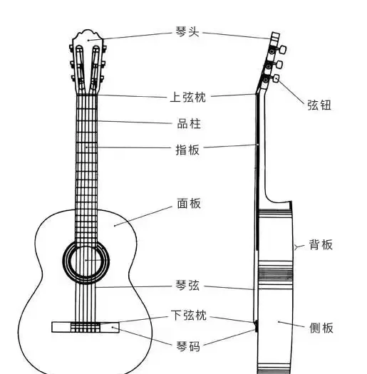 吉他体型图片