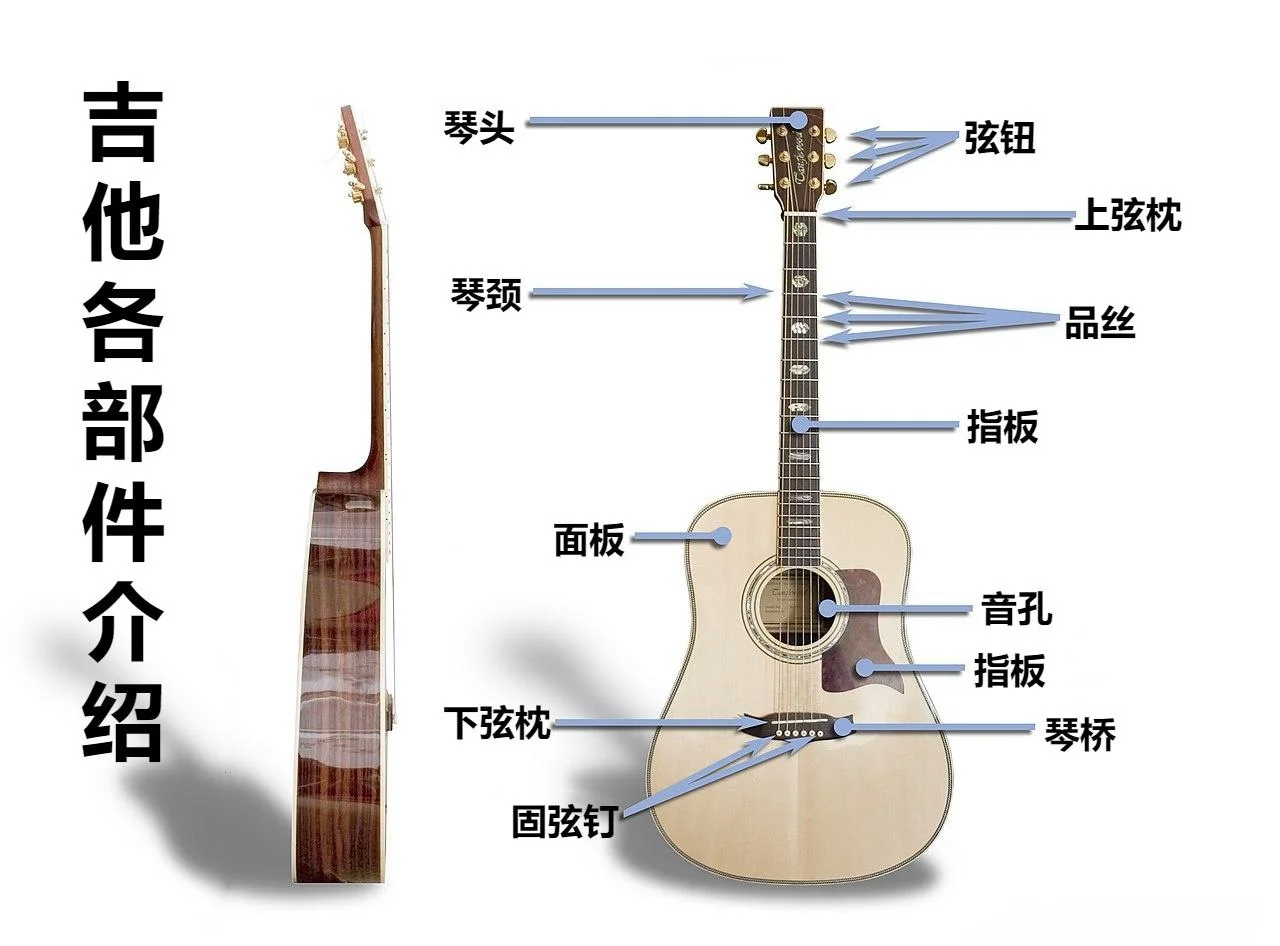 认识吉他 结构图图片