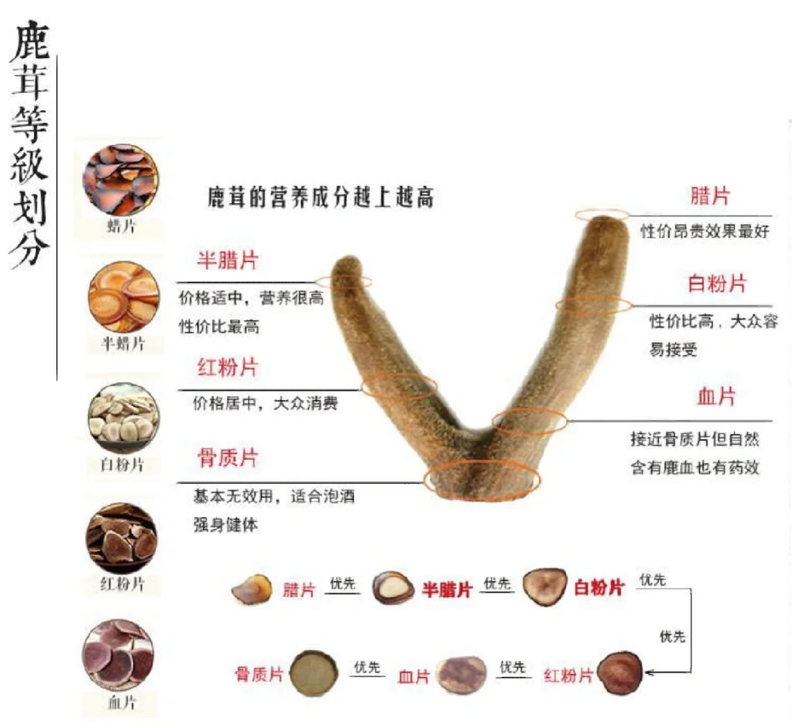 怎样挑选鹿茸片图片图片