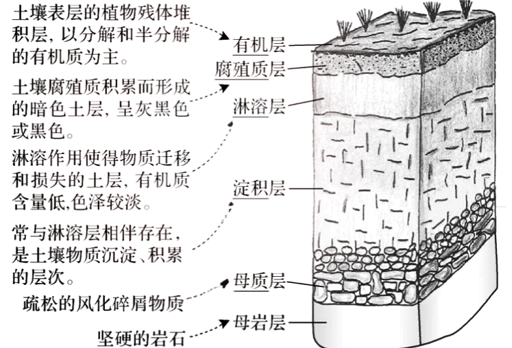 土壤在水中的分层图图片