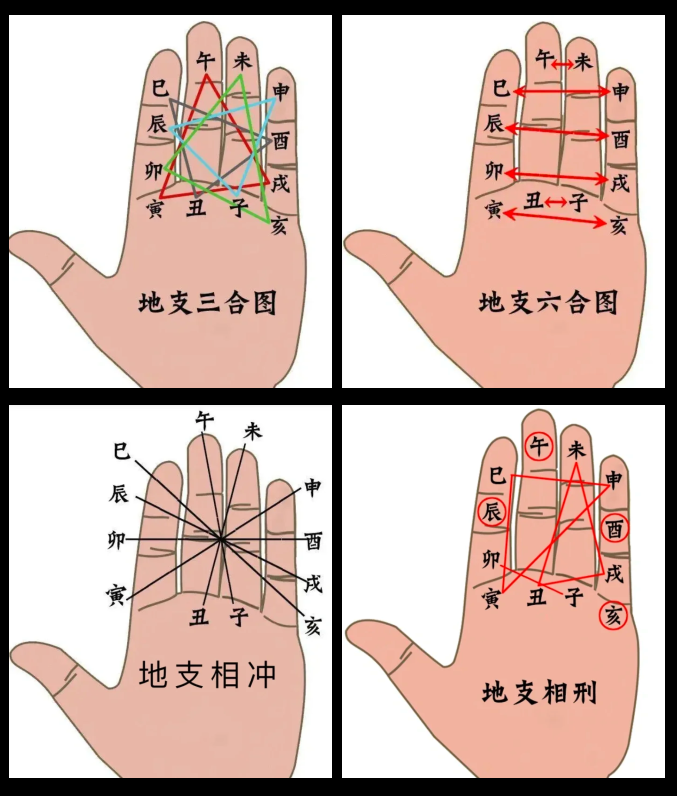 十二地支掌位图图片