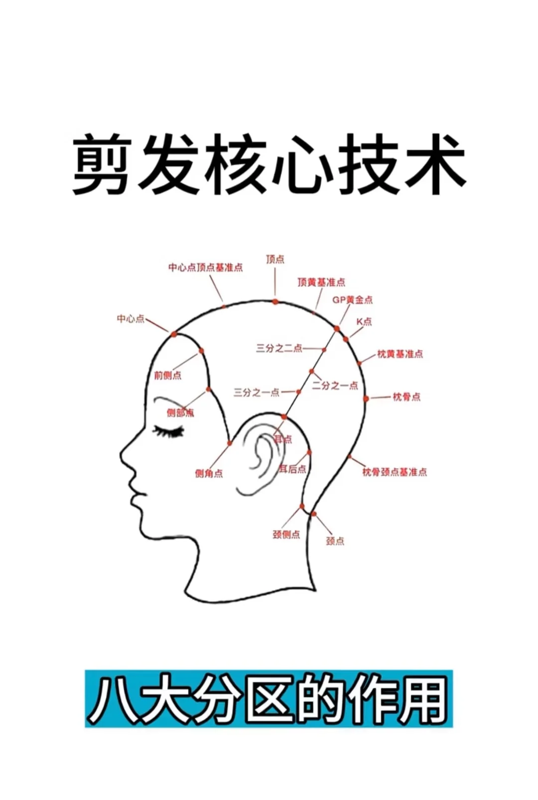 剪发核心技术 八大分区详解