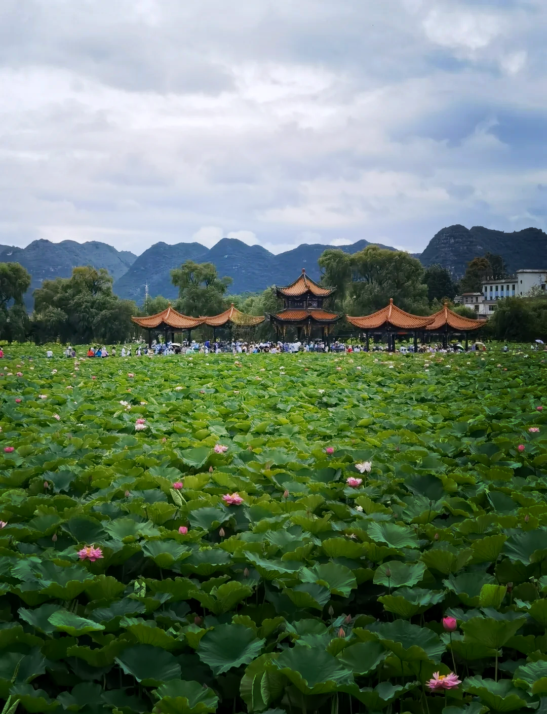 安龙招堤风景名胜区图片