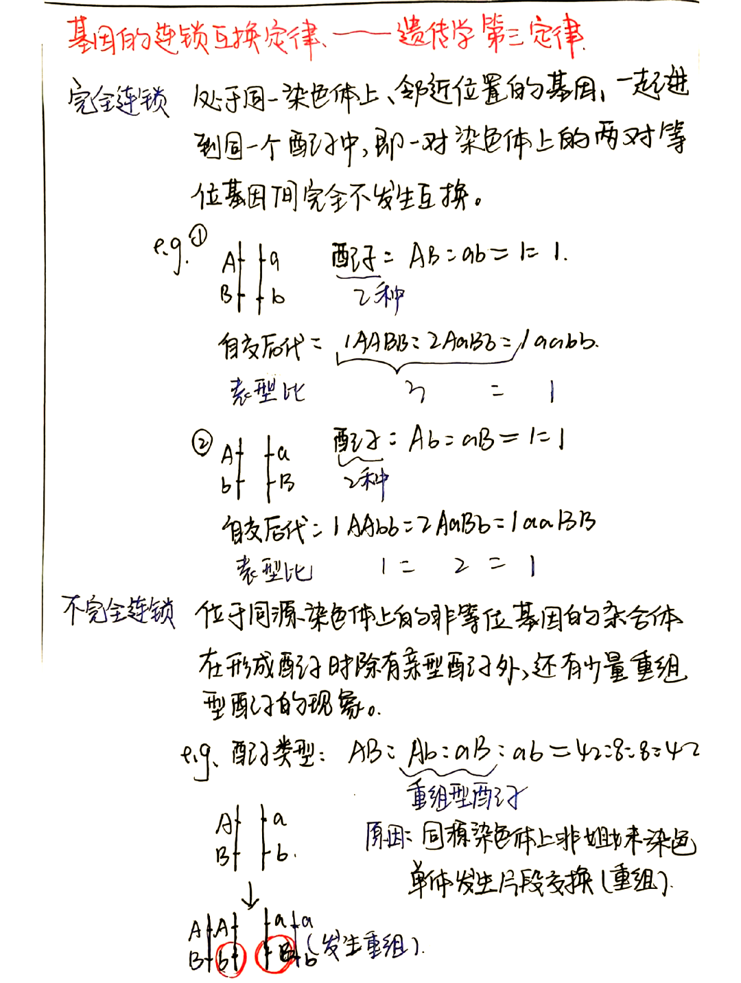 果蝇杂交遗传图解图片