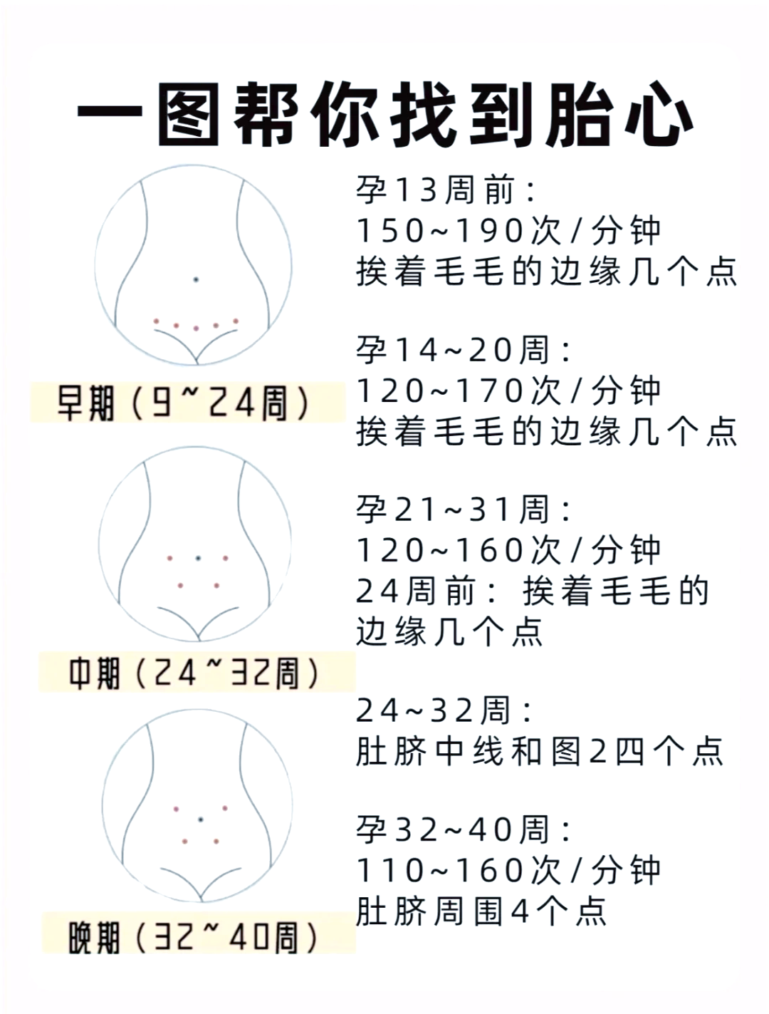 孕33周胎心位置图片图片