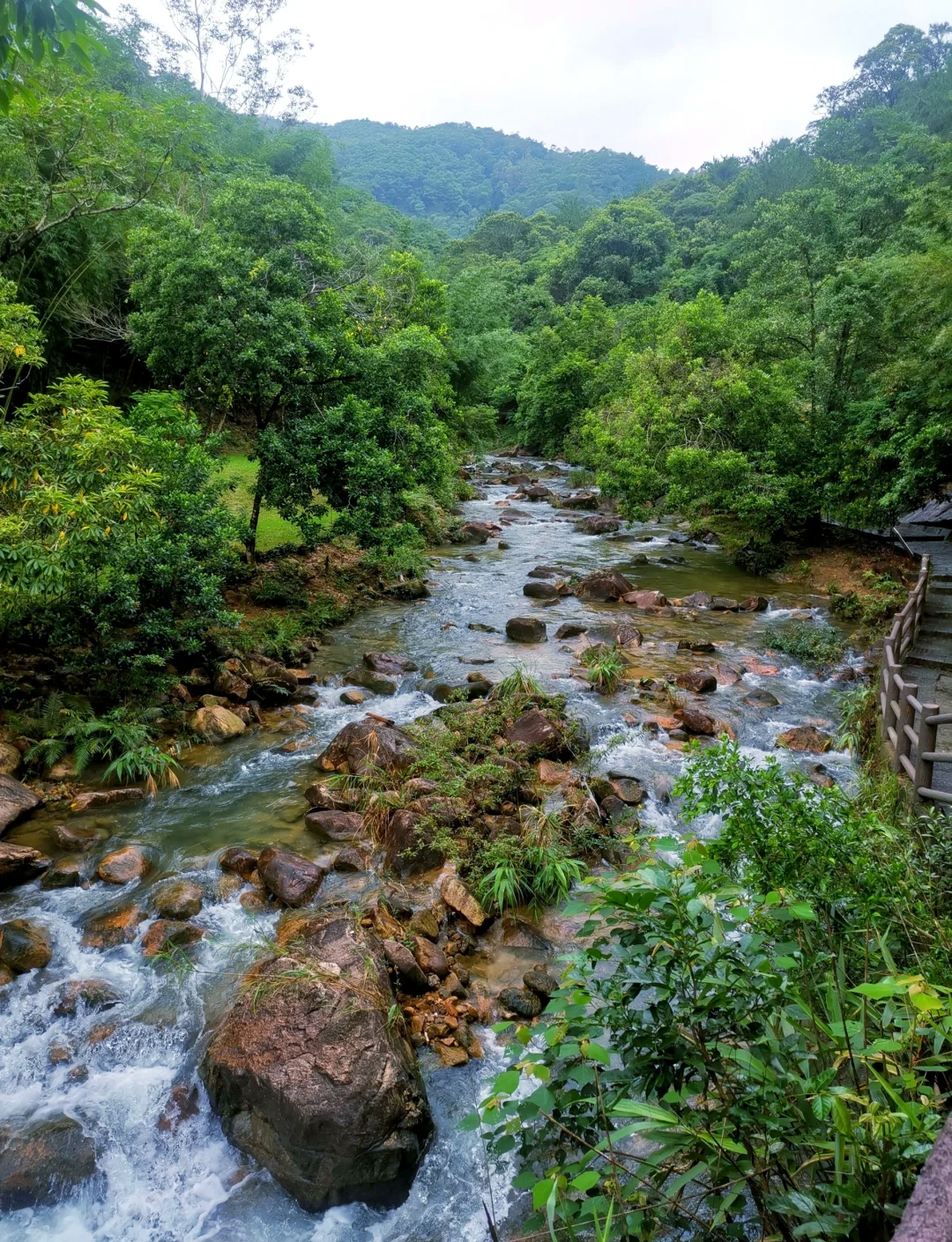 增城大封门森林公园图片