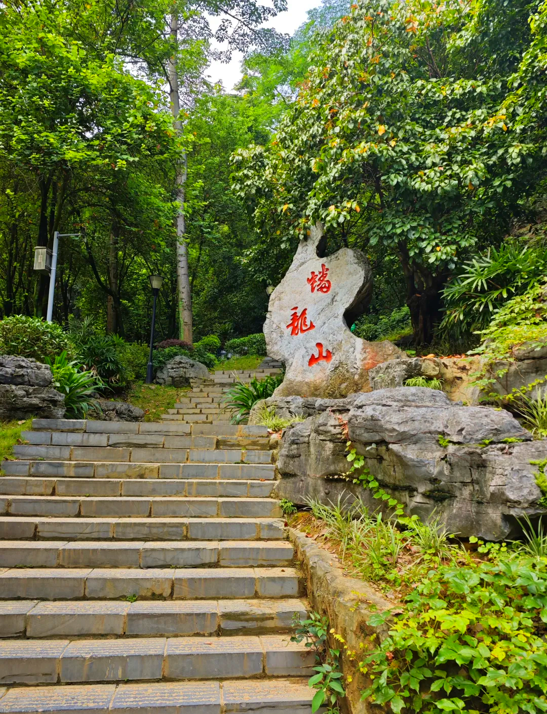 宁阳葛石蟠龙山图片