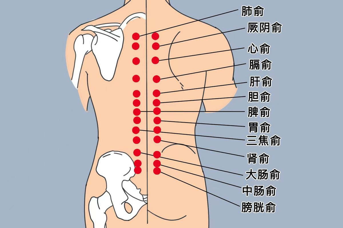 天柱在人体什么位置图片