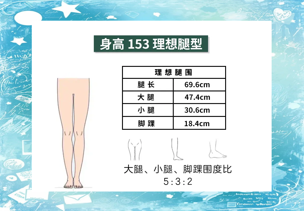 170模特腿围标准对照表图片