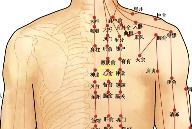心脏不好艾灸位置图图片