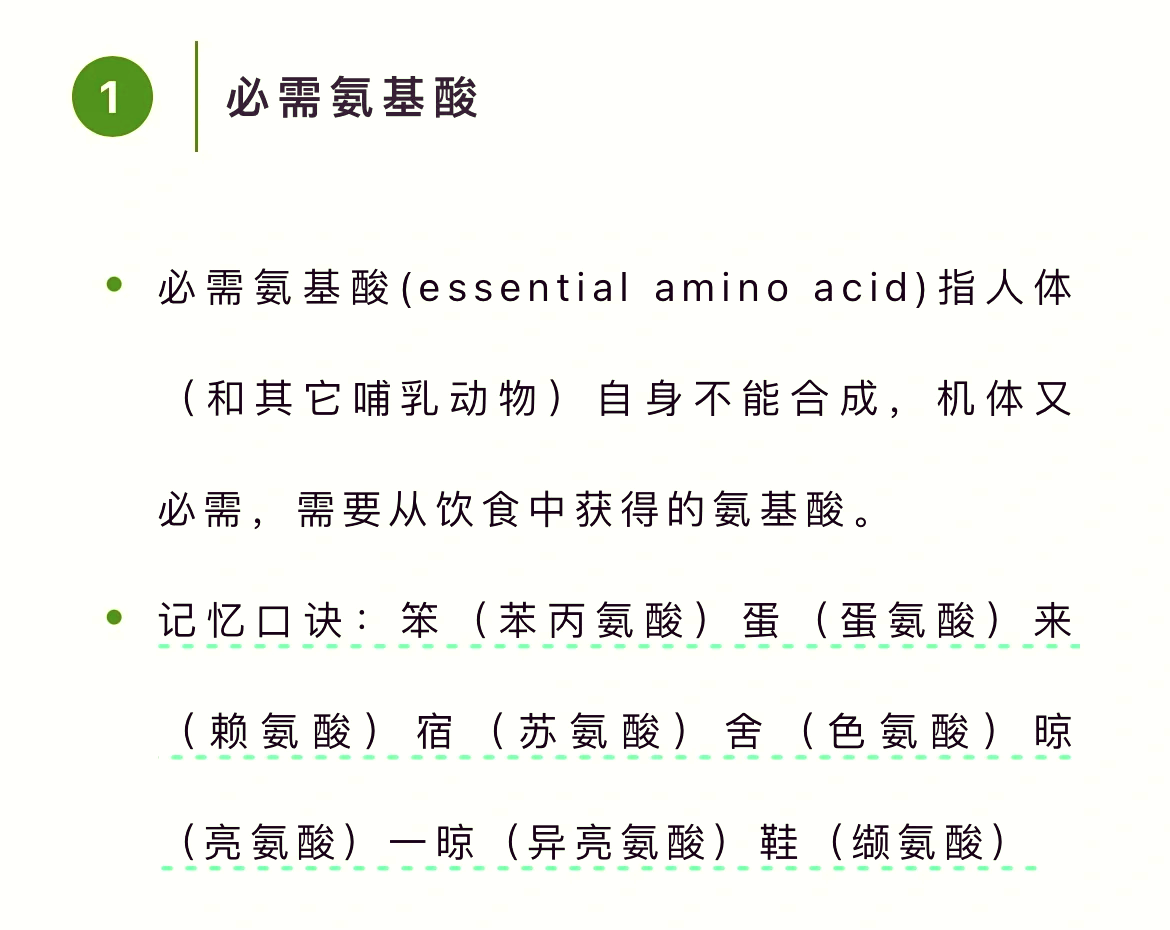 半必需氨基酸图片