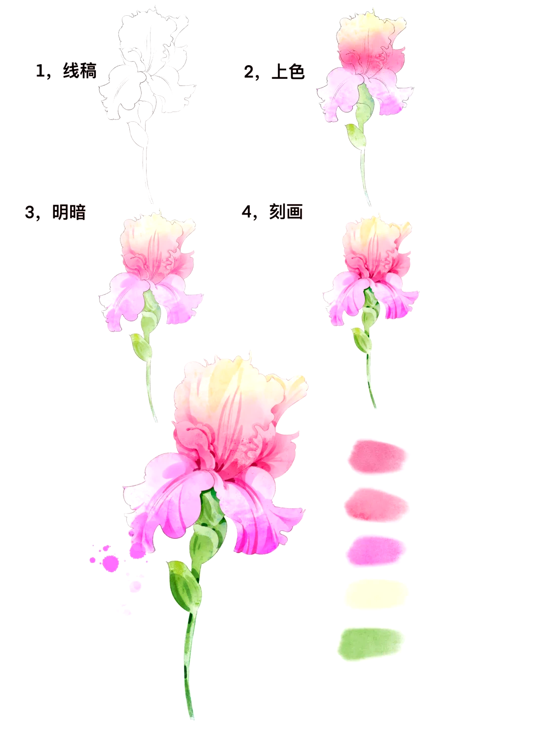 水粉画教程 花朵 步骤图片