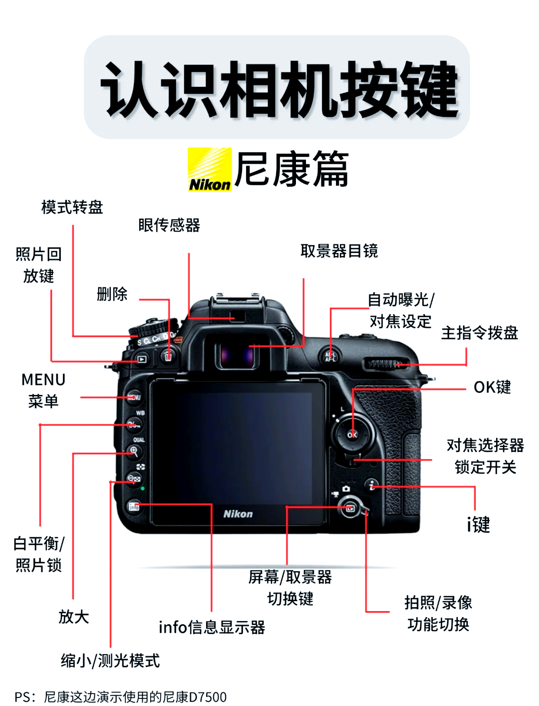 尼康d800按键功能图解图片