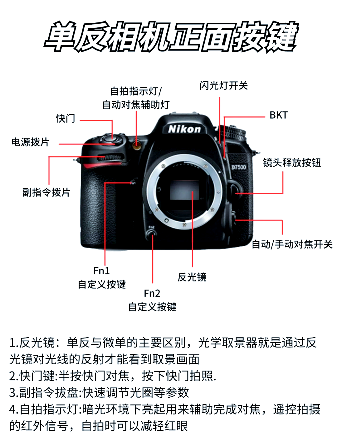 尼康d800按键功能图解图片