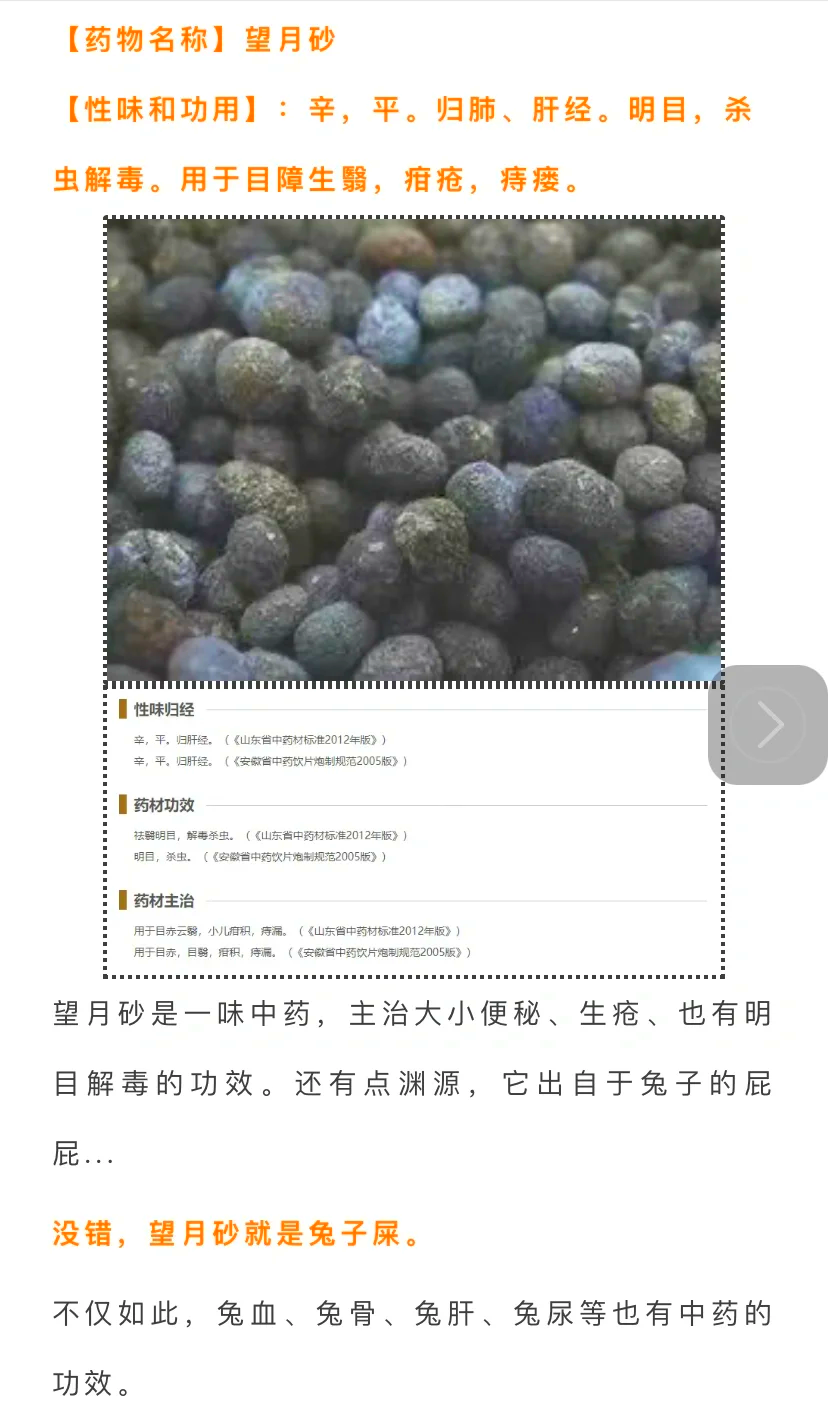 兔子屎一头尖水滴型图片