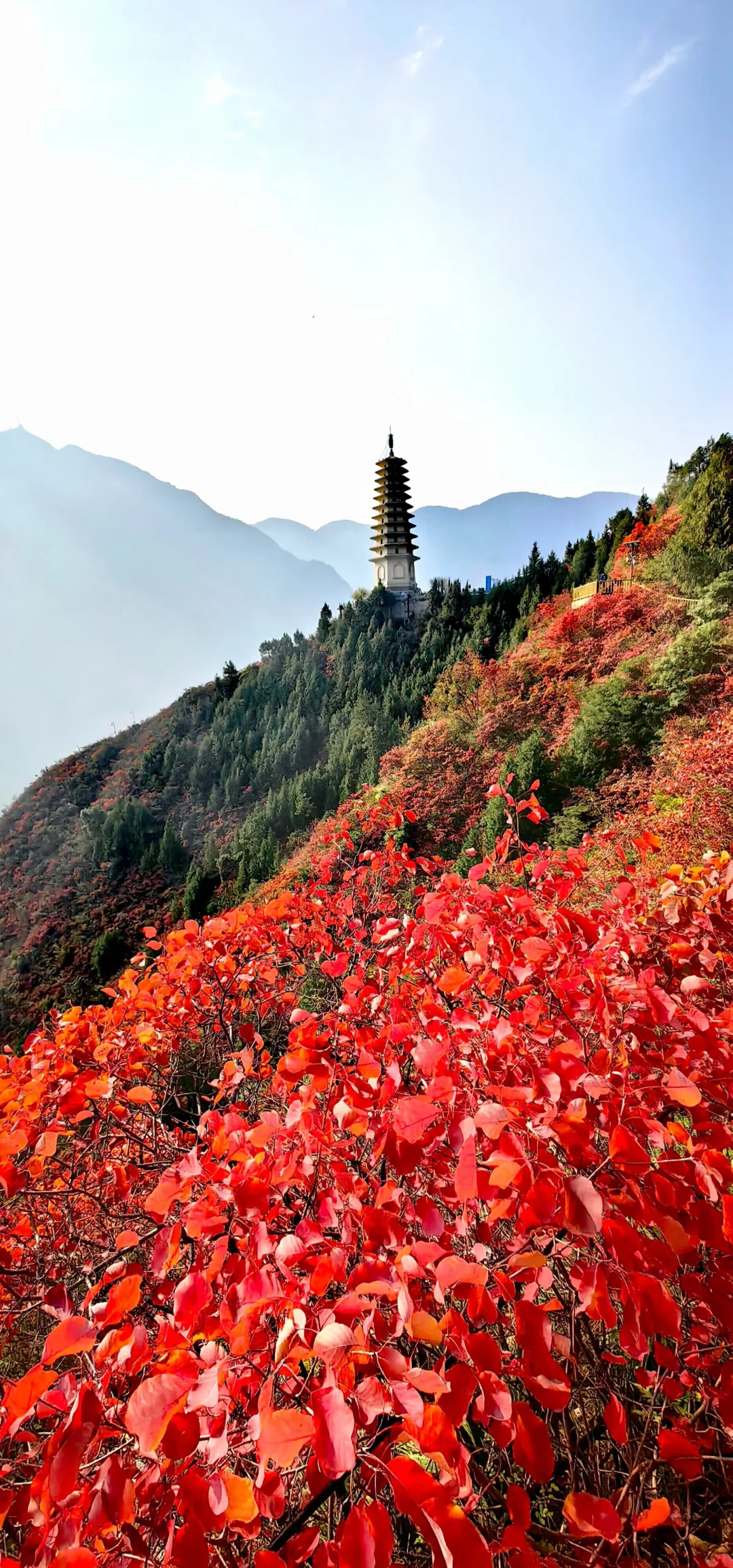 巫山小三峡的景点讲解图片