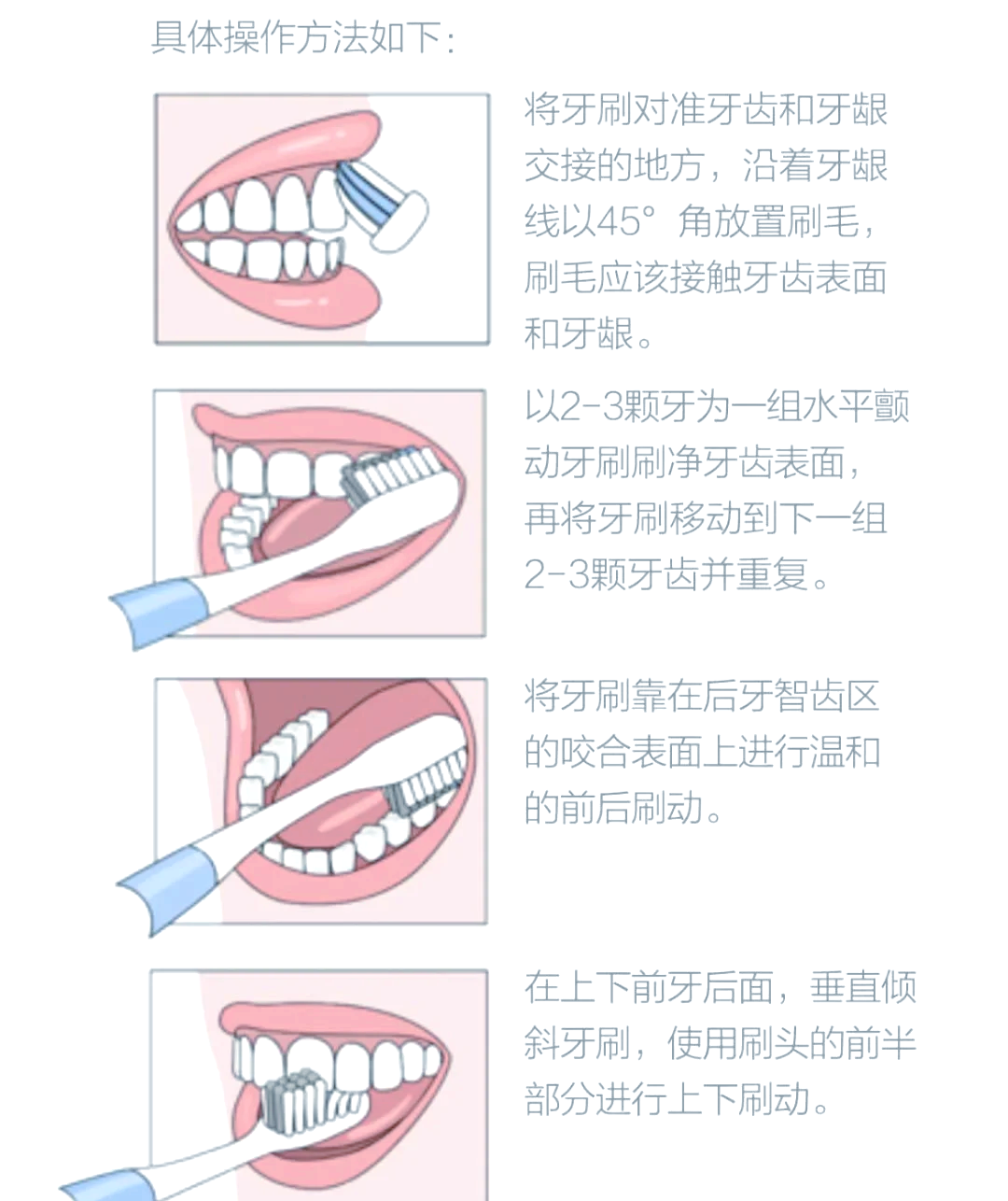 巴氏刷牙法的正确步骤95 05巴氏刷牙法是保持口腔卫生的好方法