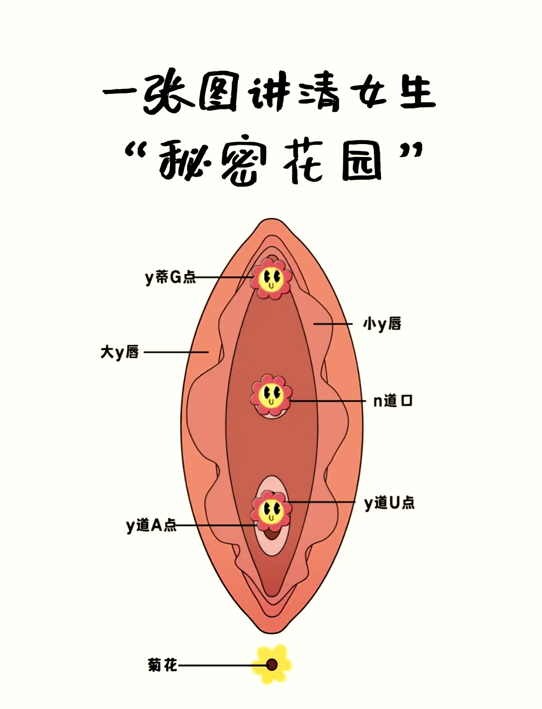 女性敏感点身体图片