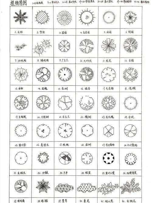 平面灌木图例以及名称图片