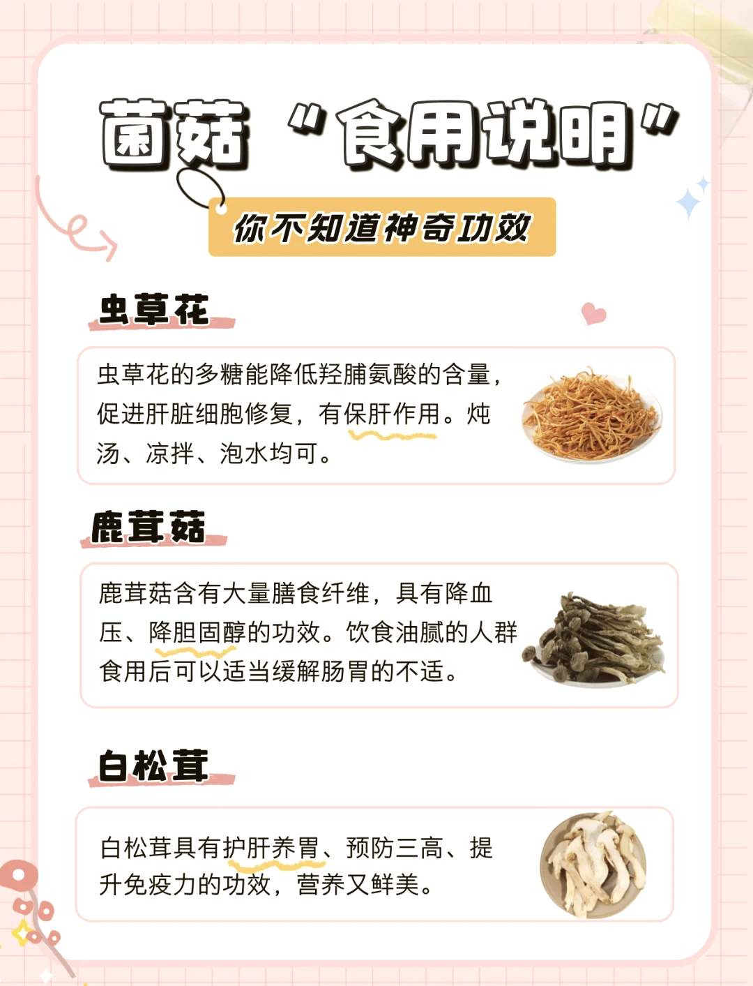 巴西菇图片功效图片