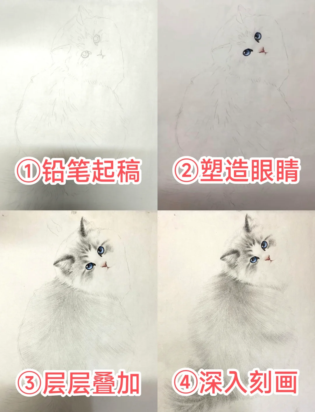 布偶猫的样子 简笔画图片