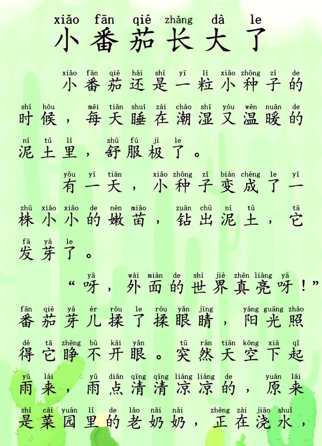 📖拼音小故事100篇 小番茄的冒险