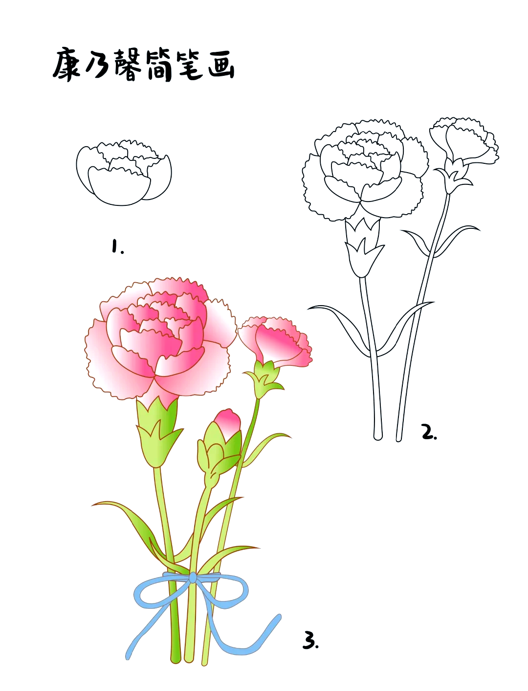 94康乃馨简笔画教程96
