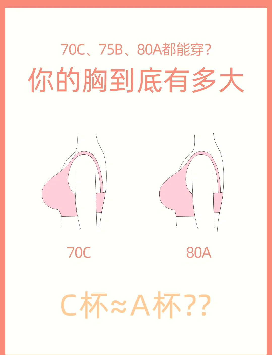 胸围和罩杯对应图片