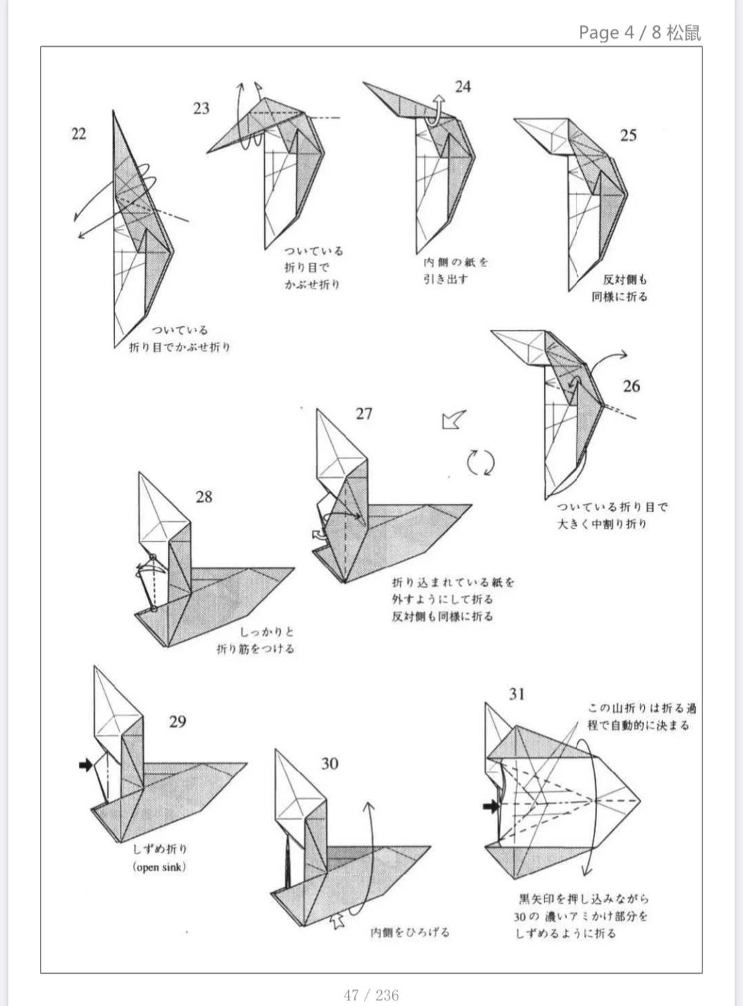 小松鼠的折法图片