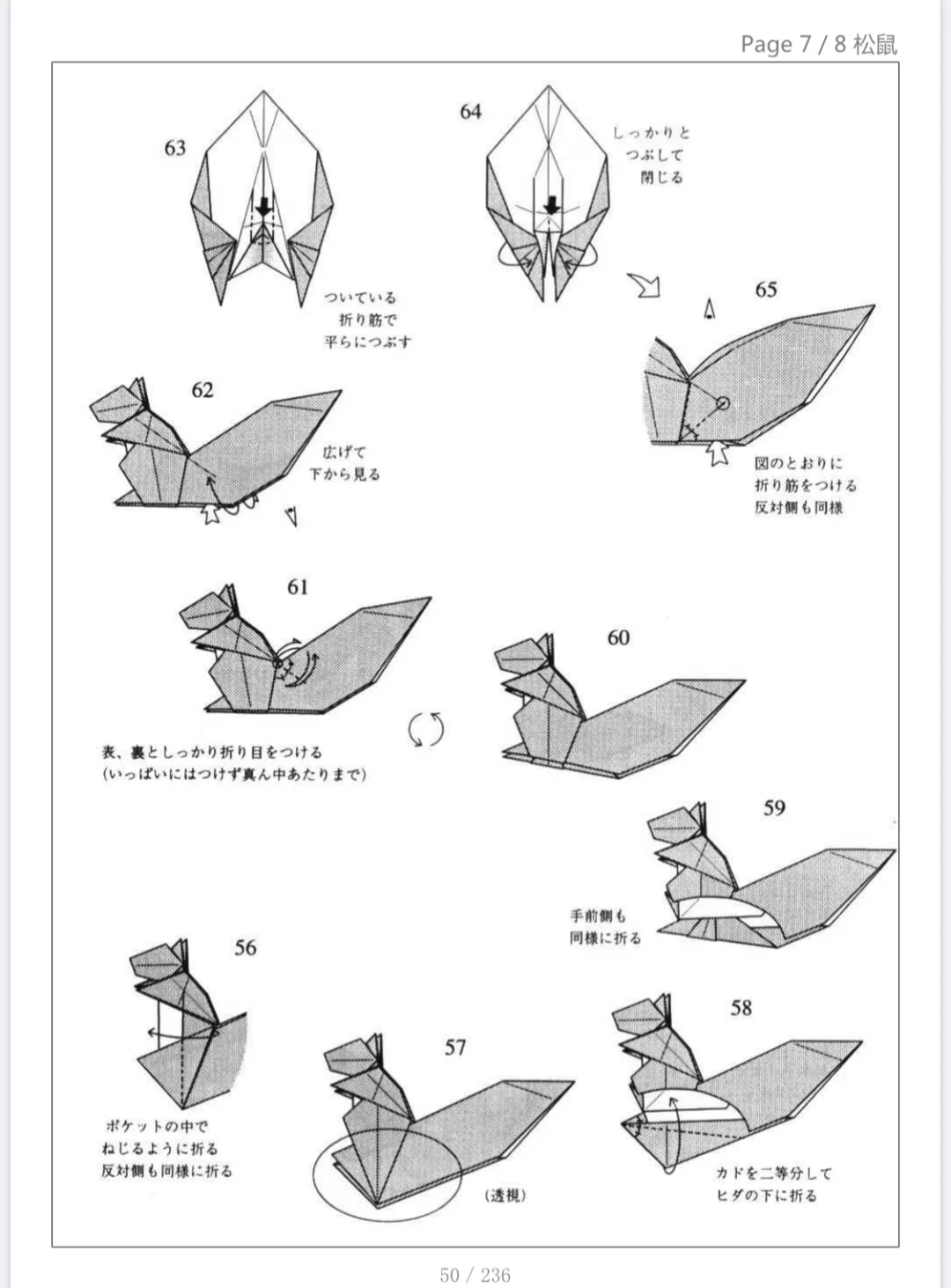 小松鼠的折法图片