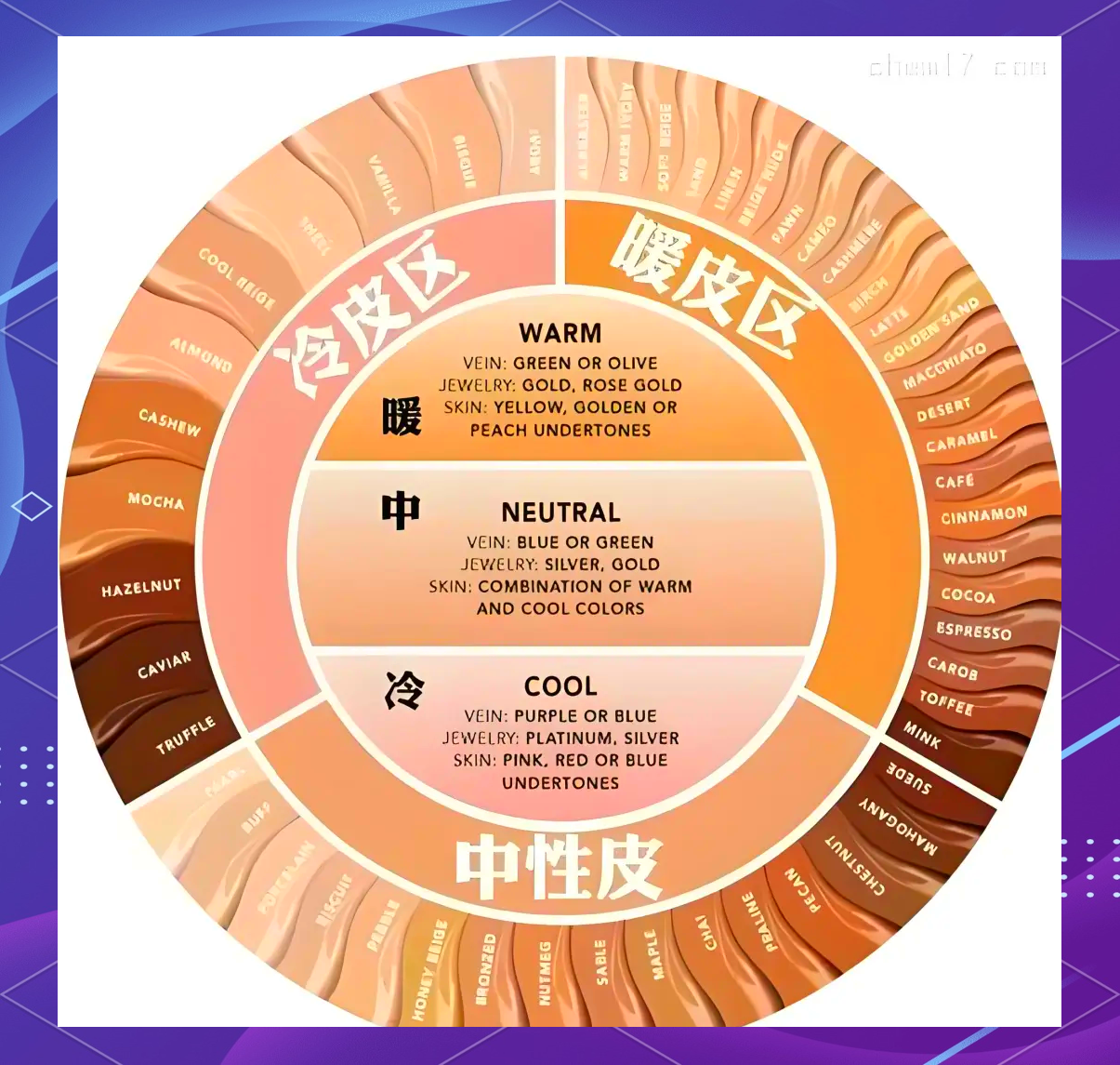 冷暖肤色对照图图片