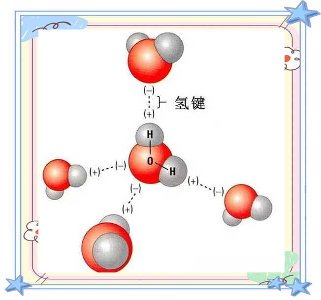 氢氧化钠的化学键图解图片