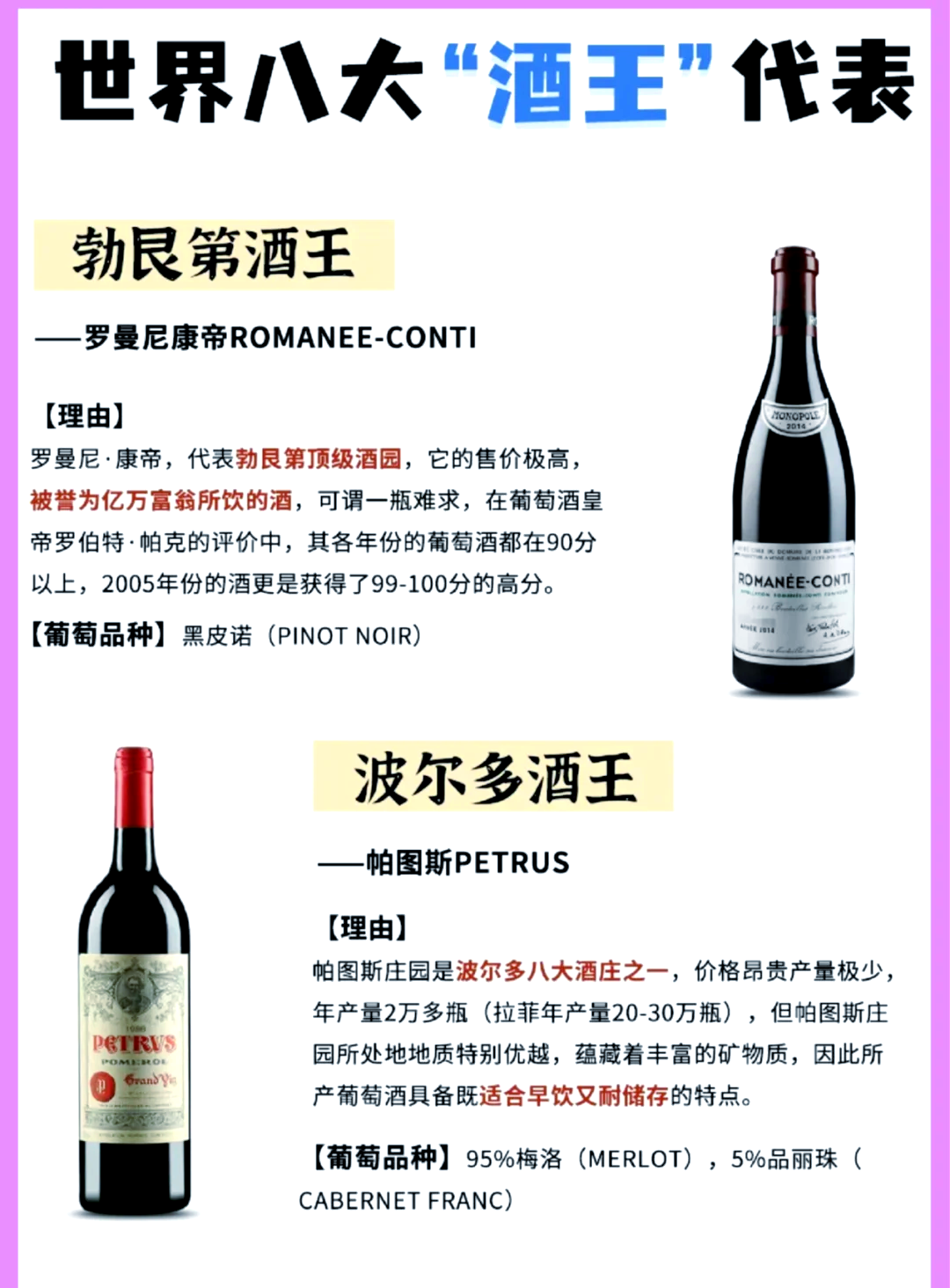 🍷探索酒王柏图斯🔍