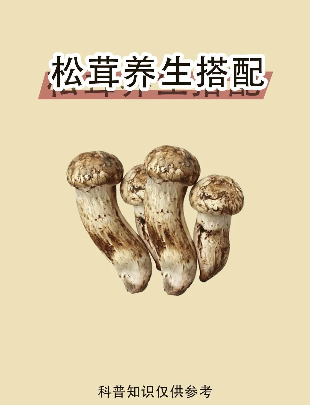 松茸菌菜名图片