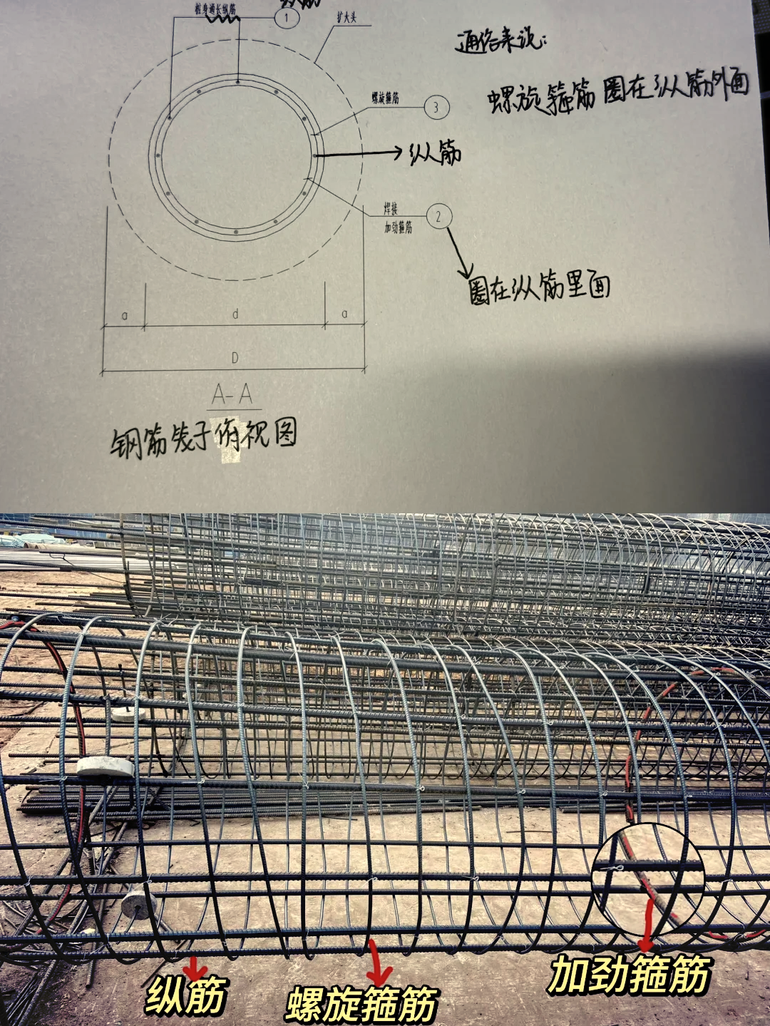 桩筏基础结构图图片