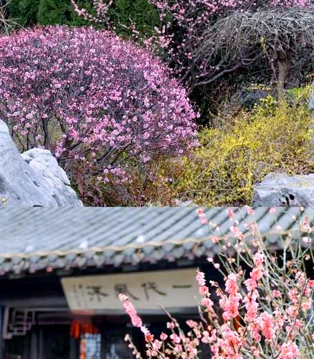 柳园旅游景点介绍图片